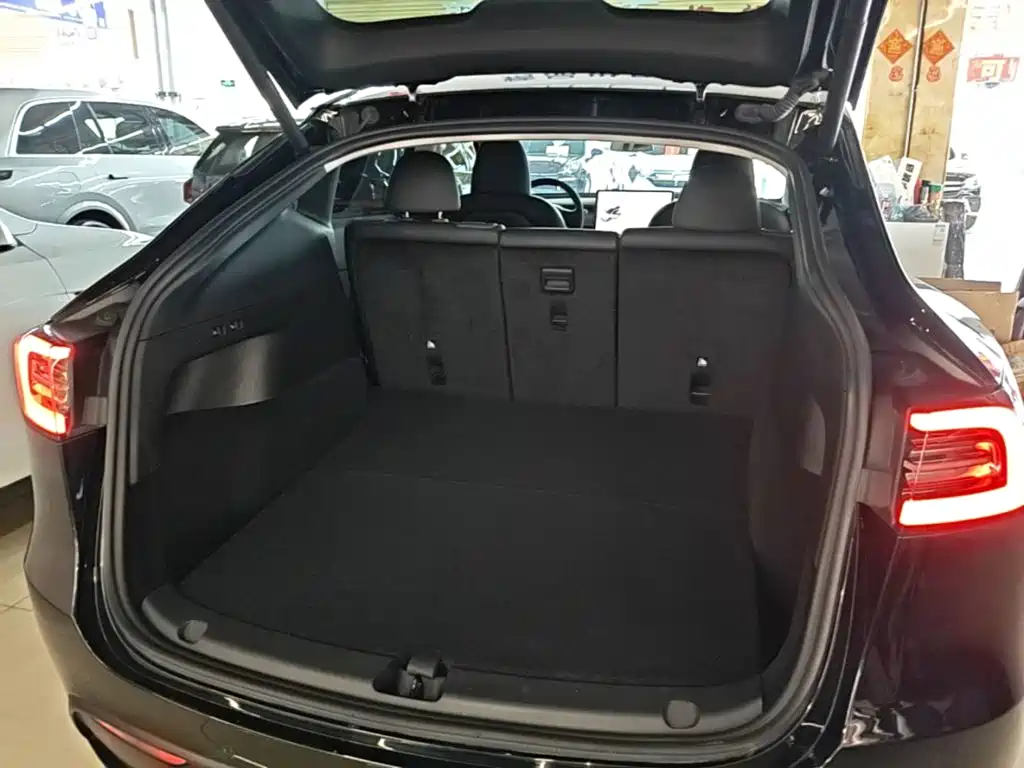 Tesla Model Y — миниатюра 19