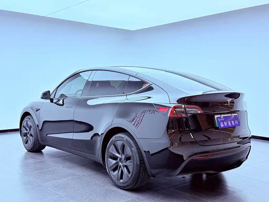 Tesla Model Y — миниатюра 6