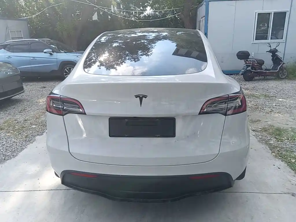 Tesla Model Y — миниатюра 6