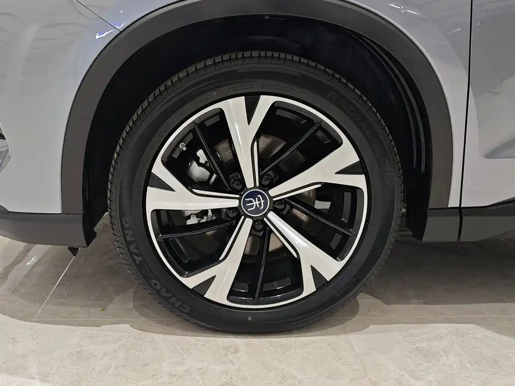 BYD Pro New Energy — миниатюра 16