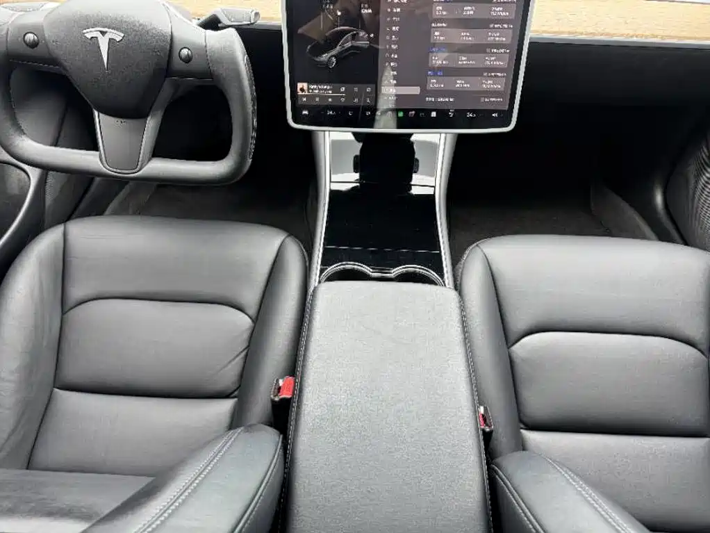 Tesla Model 3 — миниатюра 8