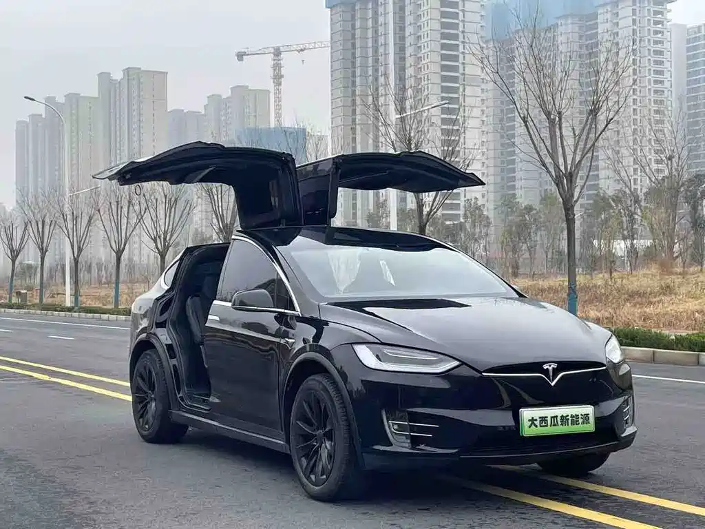 TESLA MODEL X