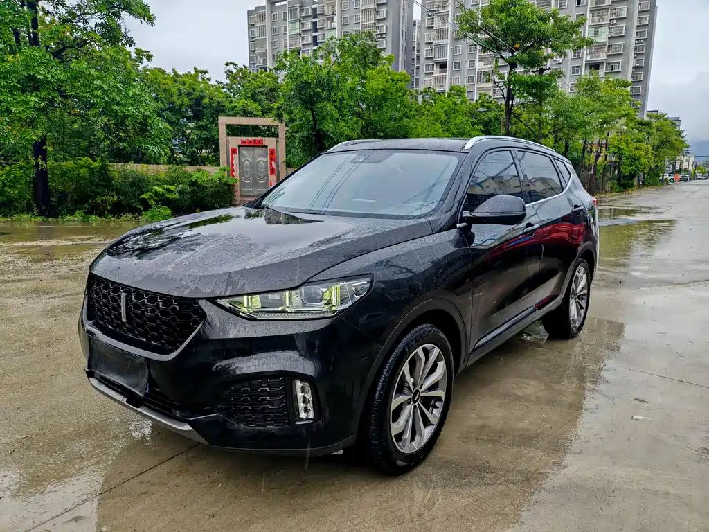 Wey Wey VV6 2019