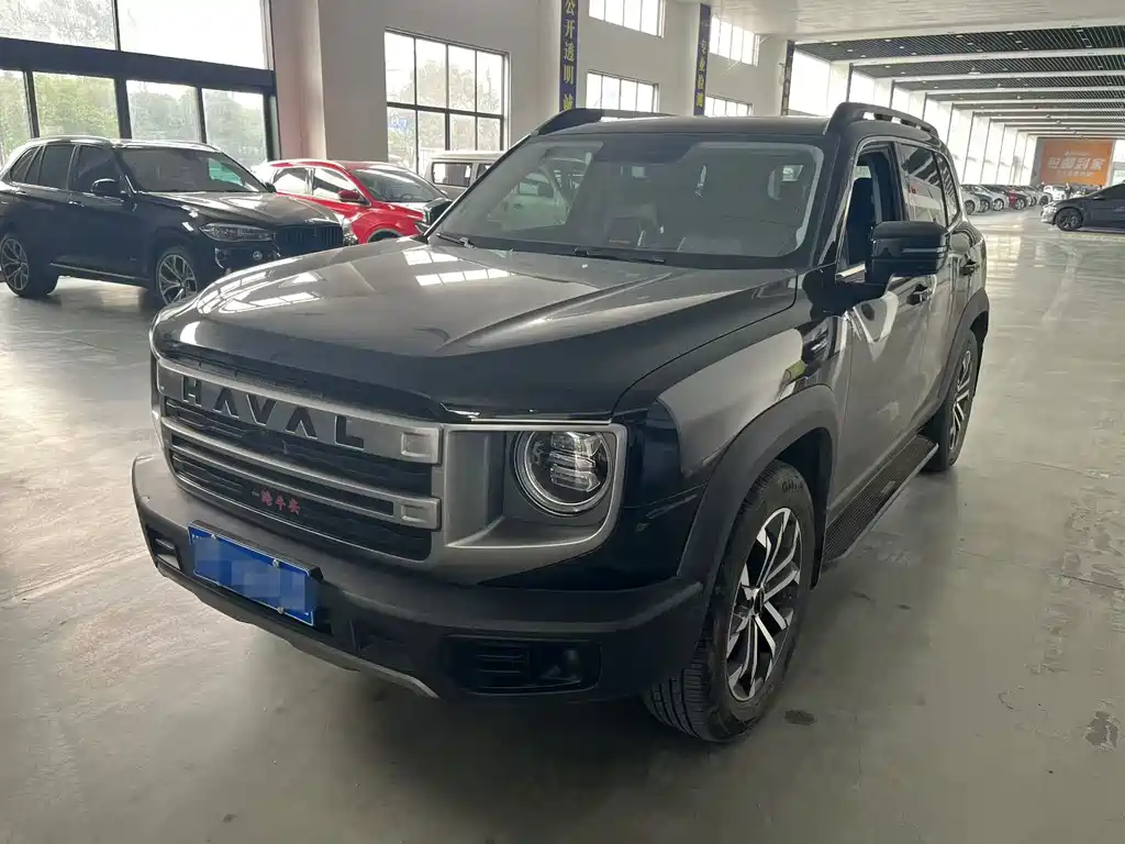HAVAL BIG DOG