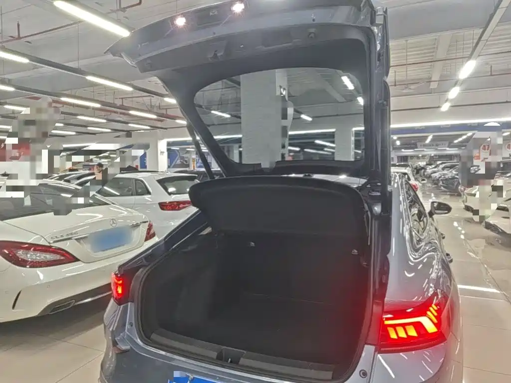Volkswagen Lamando — миниатюра 19