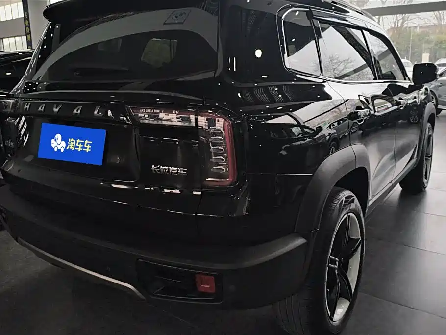 HAVAL BIG DOG
