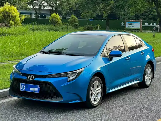 TOYOTA LEI LING 2019