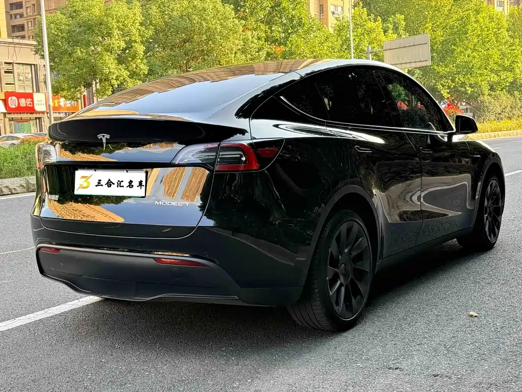 Tesla Model Y — миниатюра 10