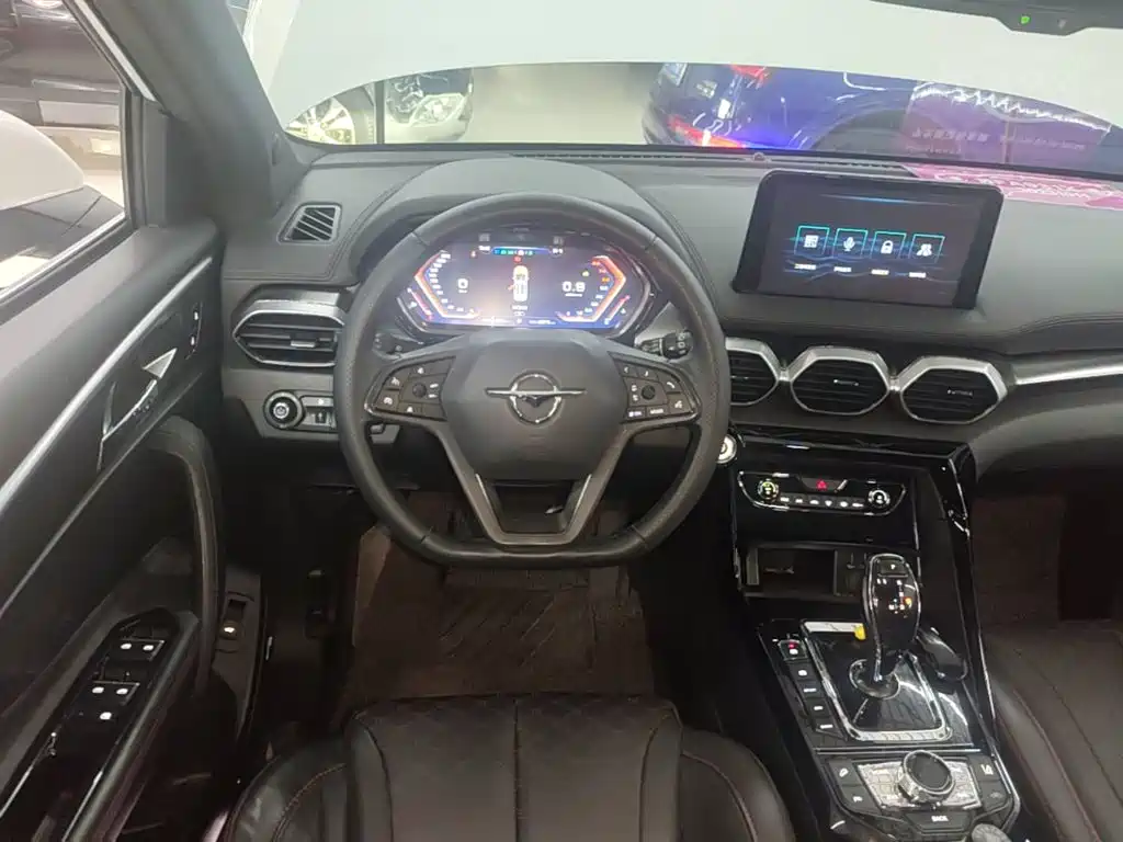 Haima Haima 8S — миниатюра 11