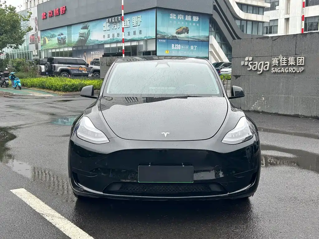 Tesla Model Y — миниатюра 2