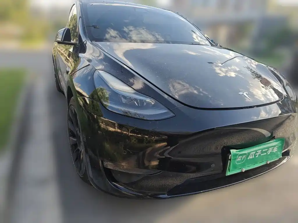 Tesla Model Y — миниатюра 24