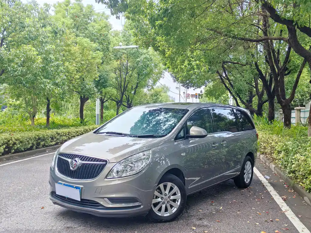 Buick GL8 — миниатюра 3