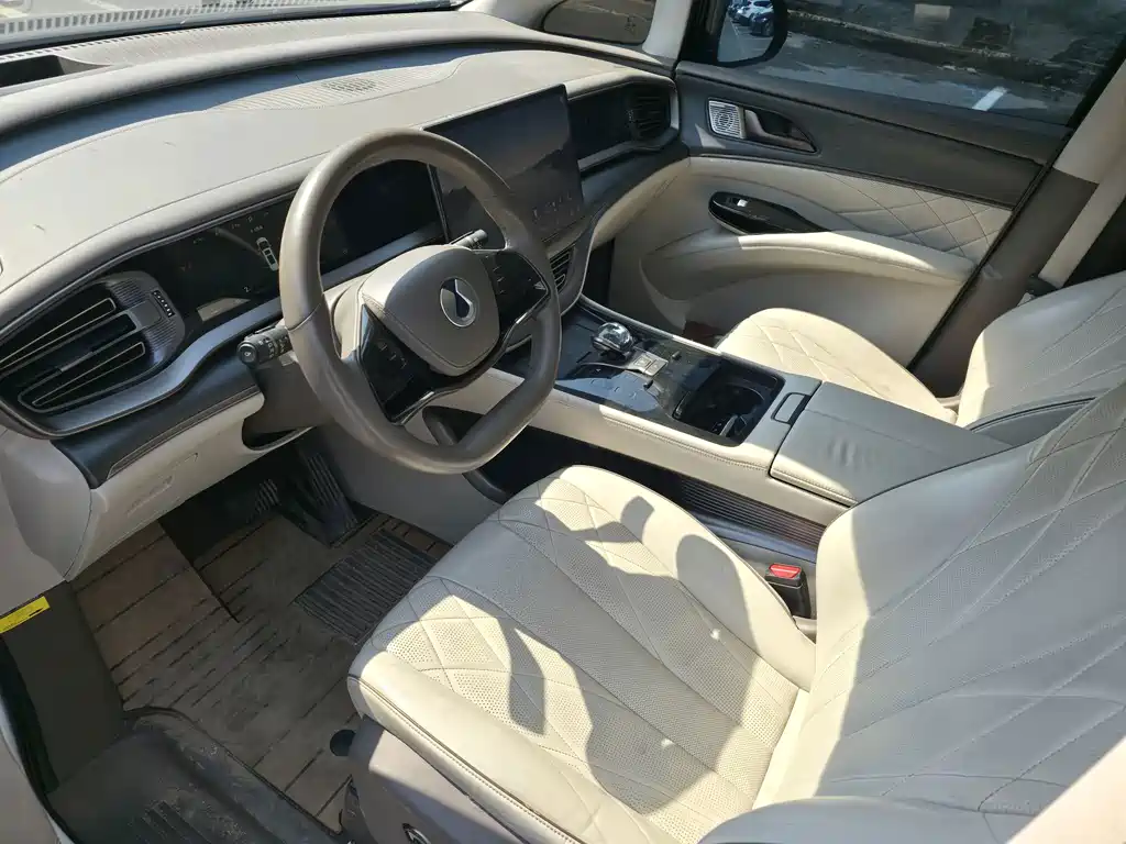 Denza Denza D9 — миниатюра 10