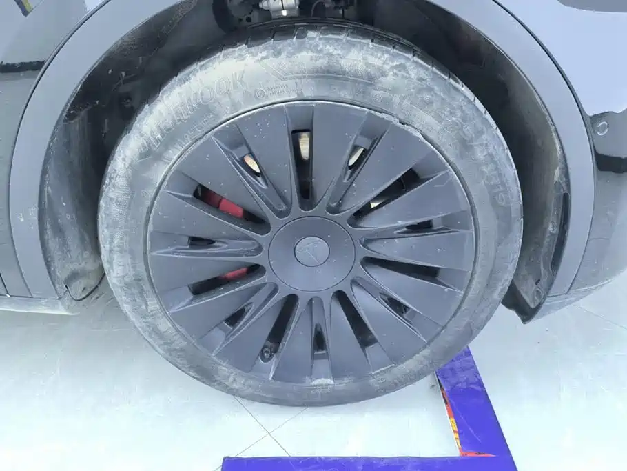 Tesla Model Y — миниатюра 6