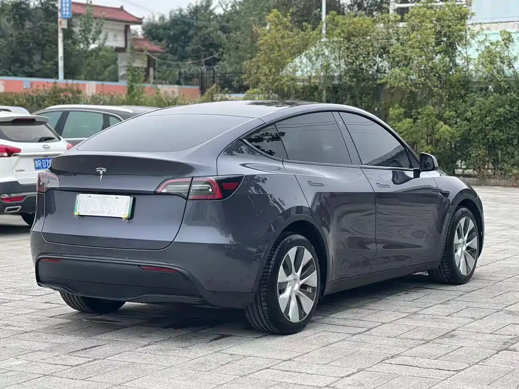 Tesla Model Y — миниатюра 10