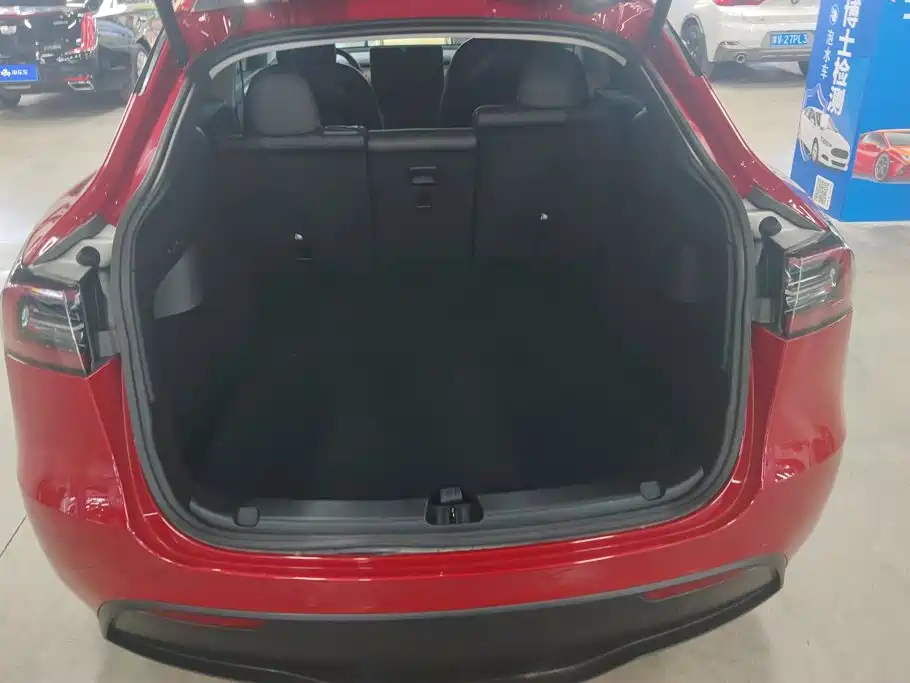 Tesla Model Y — миниатюра 4