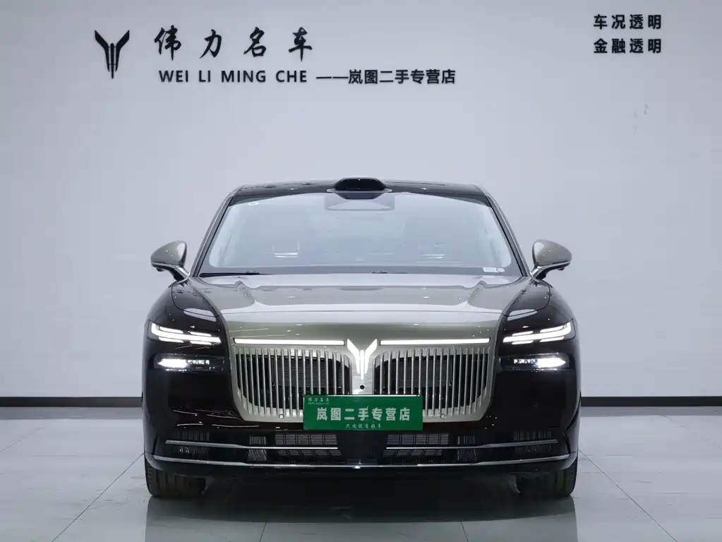 VOYAH Passion L — миниатюра 2