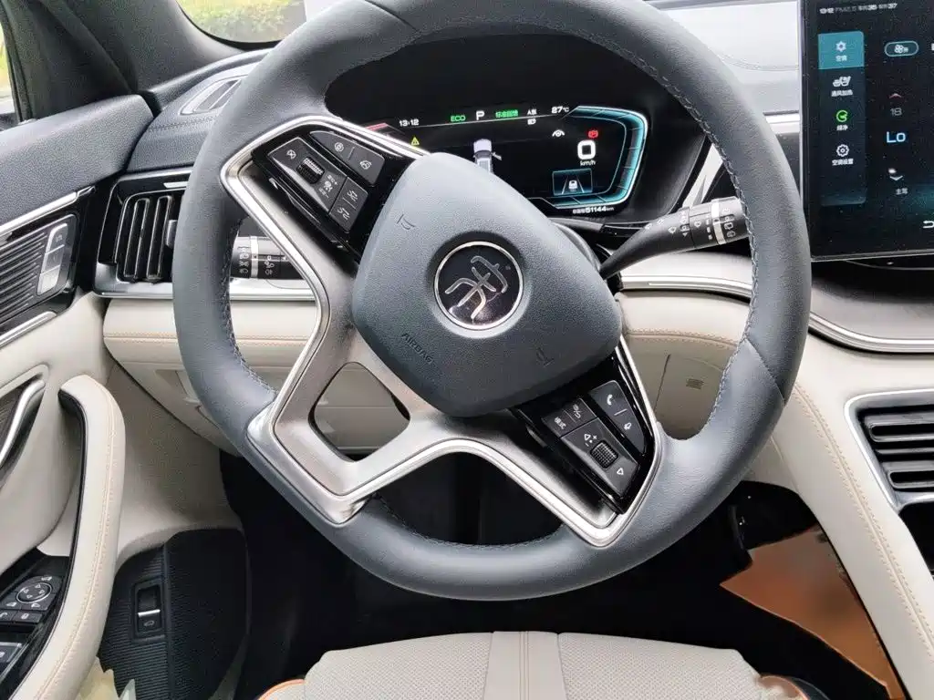 BYD PLUS New Energy — миниатюра 3