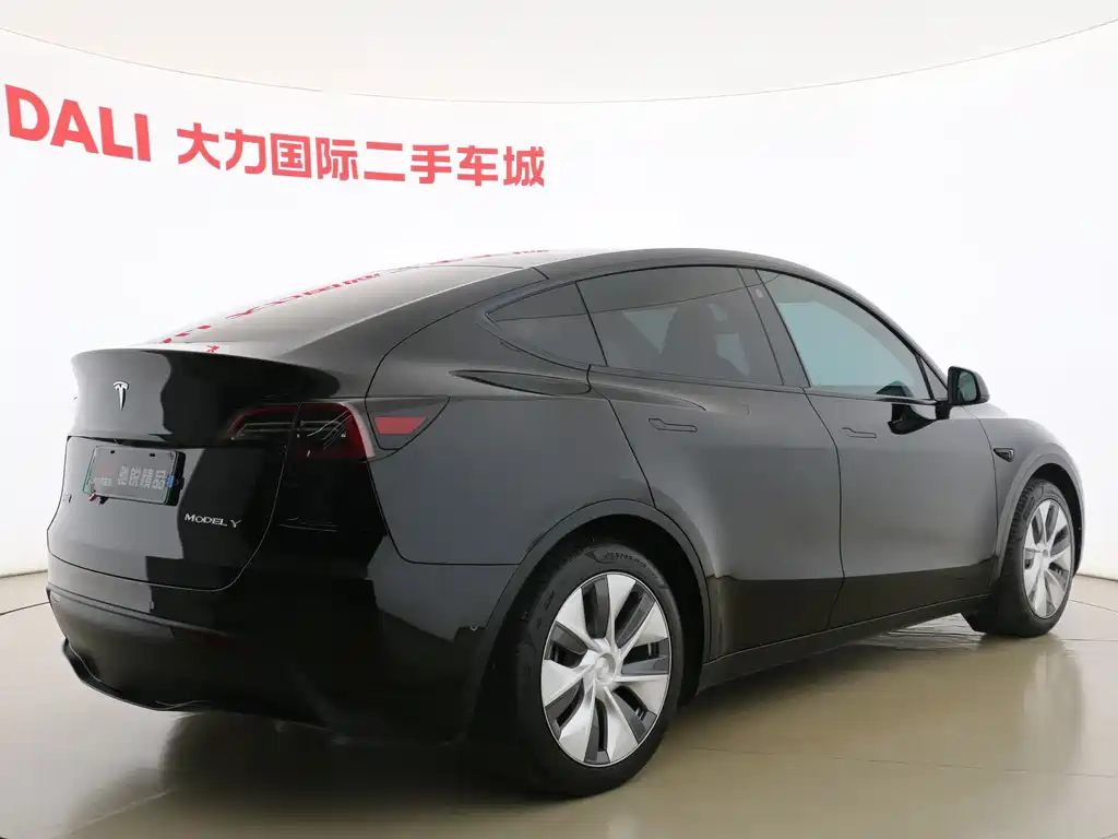 Tesla Model Y — миниатюра 7