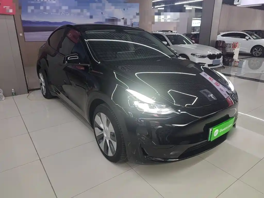 Tesla Model Y — миниатюра 4