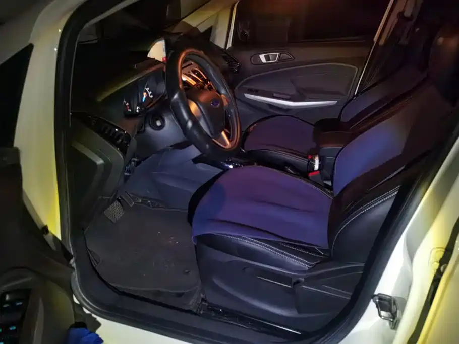 Ford Ecosport — миниатюра 9