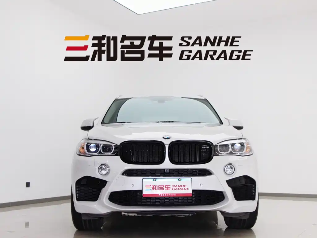 BMW X5 2014 xDrive35i Lead