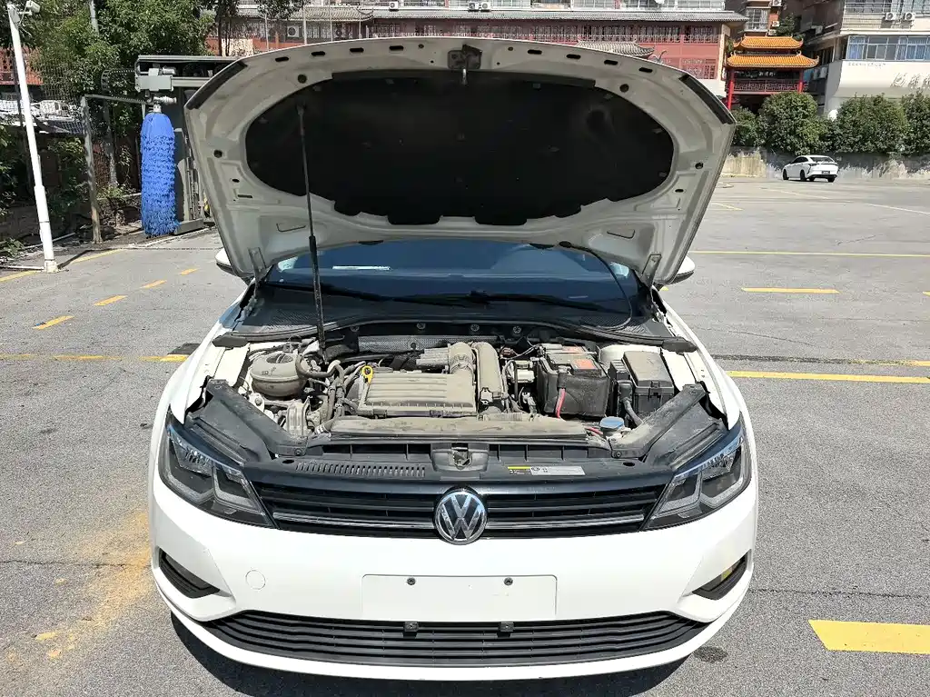 Volkswagen Lamando — миниатюра 16