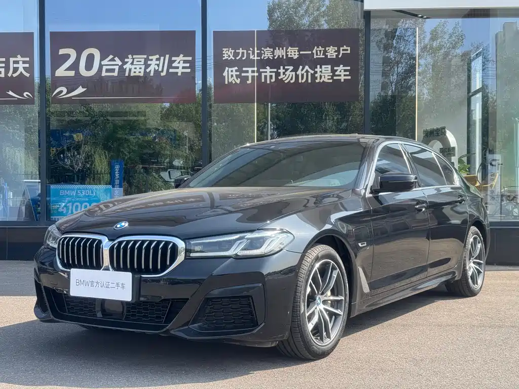BMW 5 Series New Energy — миниатюра 2