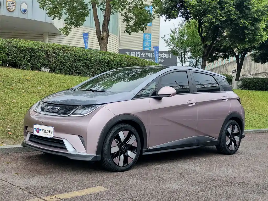 Byd Dolphin 2023
