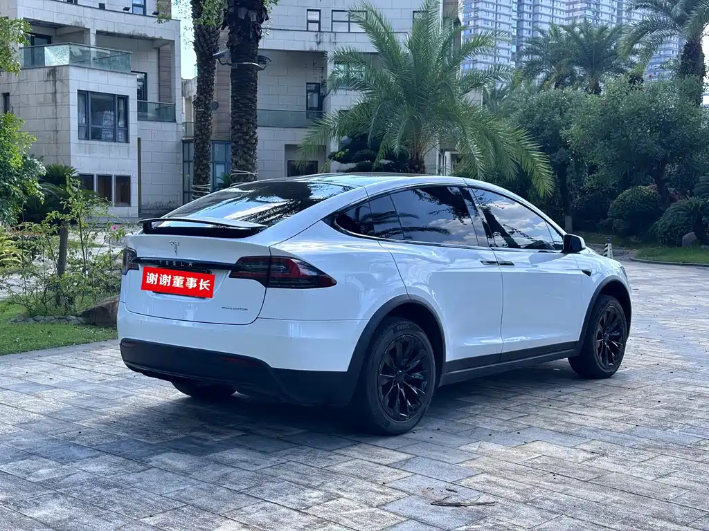 Tesla Model X — миниатюра 8