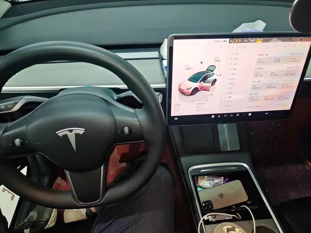 Tesla Model Y — миниатюра 6