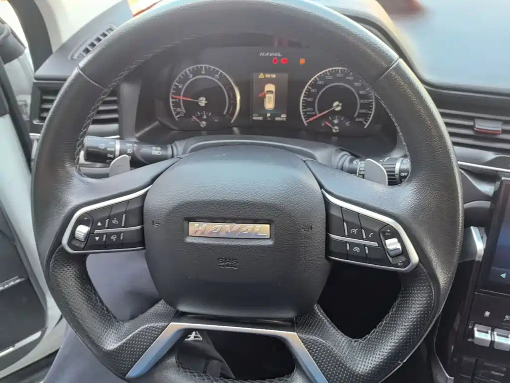 Haval H4 — миниатюра 11