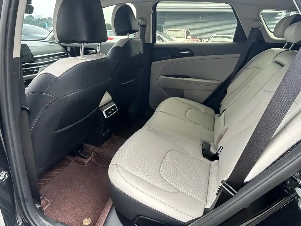 KIA LION PLATINUM EXPANDS THE WORLD