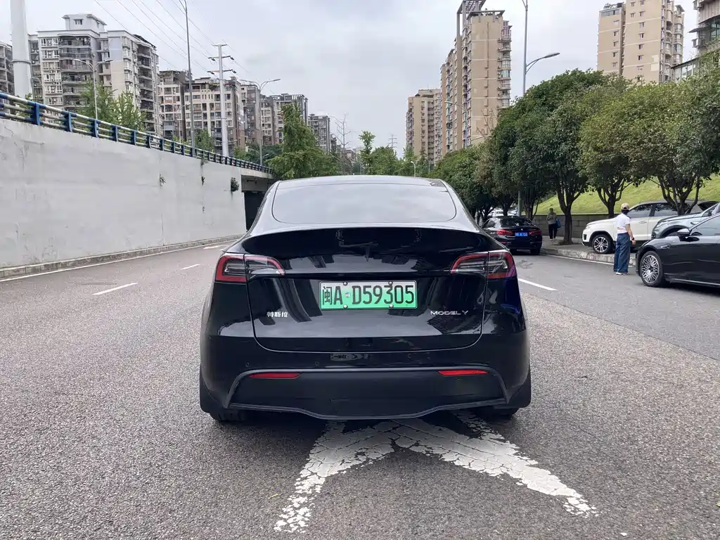 Tesla Model Y — миниатюра 12