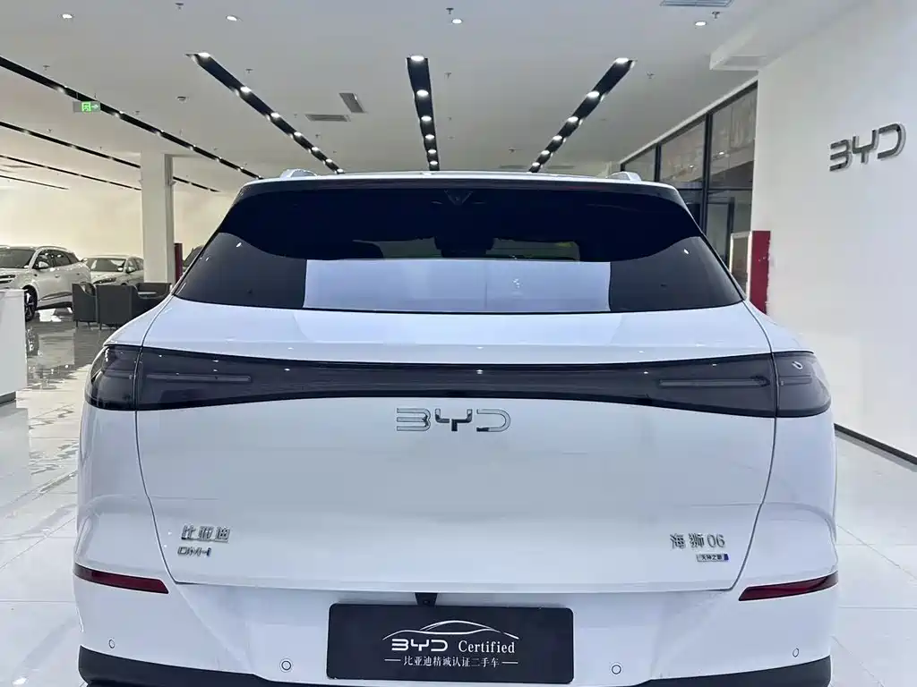 BYD Sealion 06 — миниатюра 10