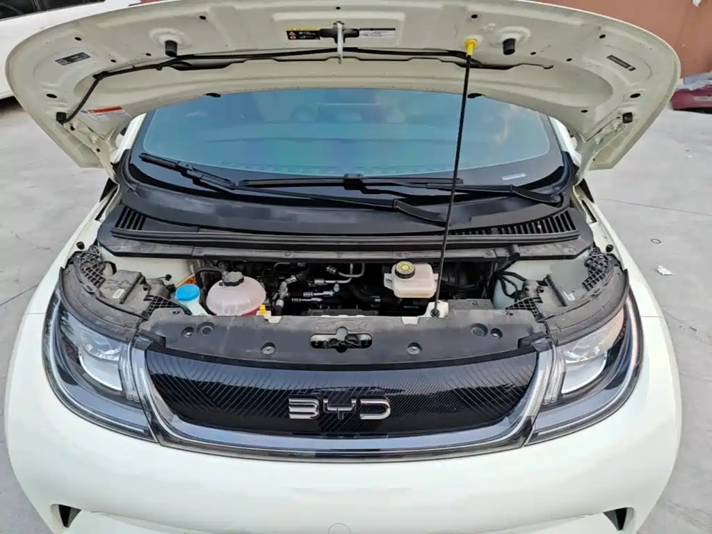 BYD Dolphin — миниатюра 20