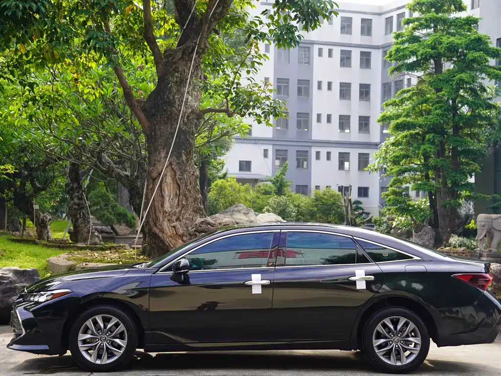Toyota Avalon 2019 2.0L Luxury VI