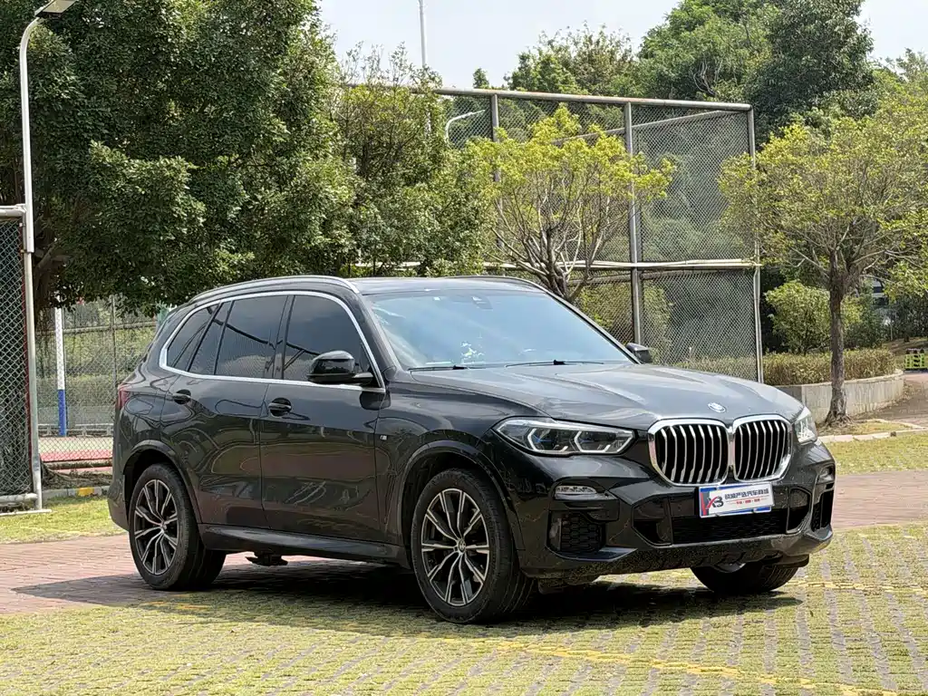 BMW X5 (Import) — миниатюра 3