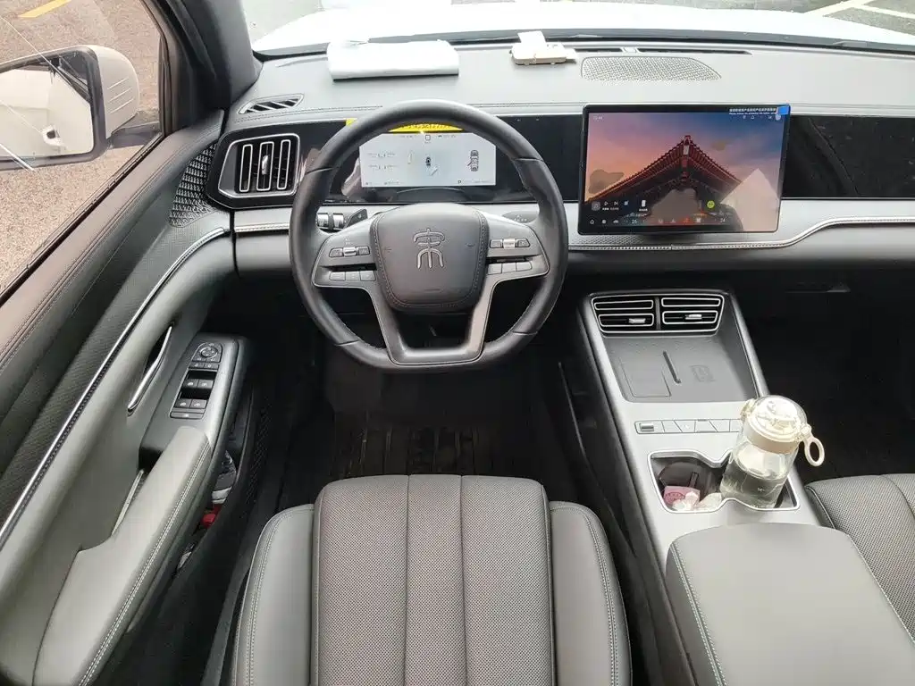 BYD Pro New Energy — миниатюра 3
