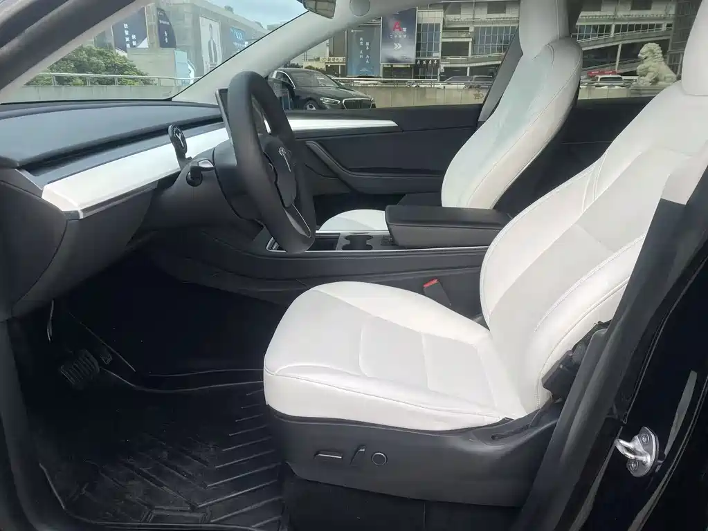 Tesla Model Y — миниатюра 4