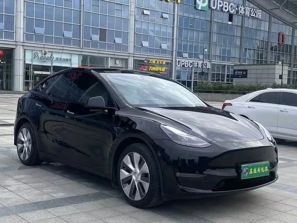 Tesla Model Y — миниатюра 3