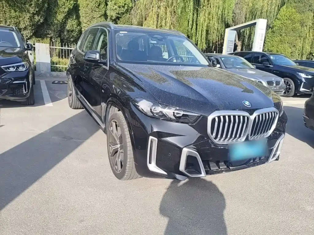 BMW X5 — миниатюра 4