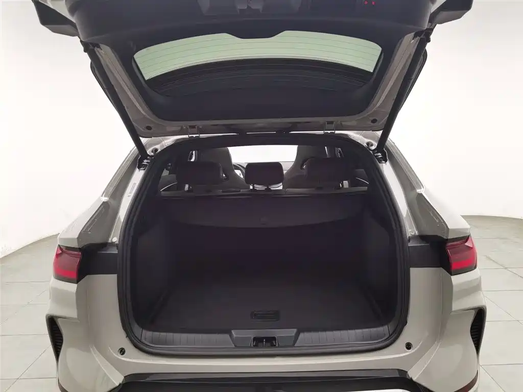 BYD SONGJIANG NEW ENERGY