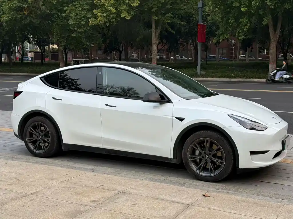 Tesla Model Y — миниатюра 3