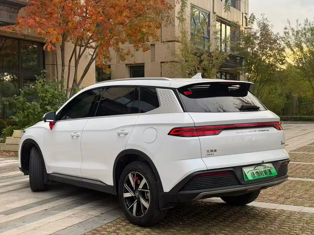 BYD Pro New Energy — миниатюра 7