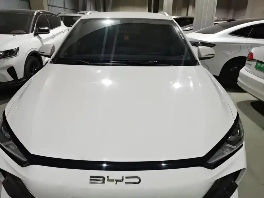 BYD e2 — миниатюра 22