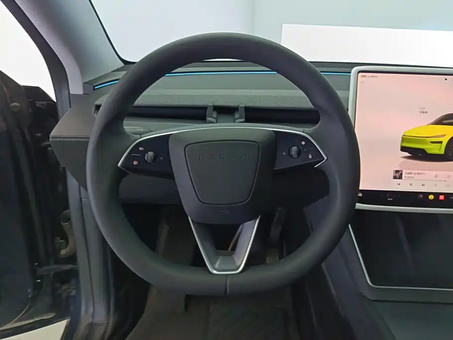 Tesla Model Y — миниатюра 15