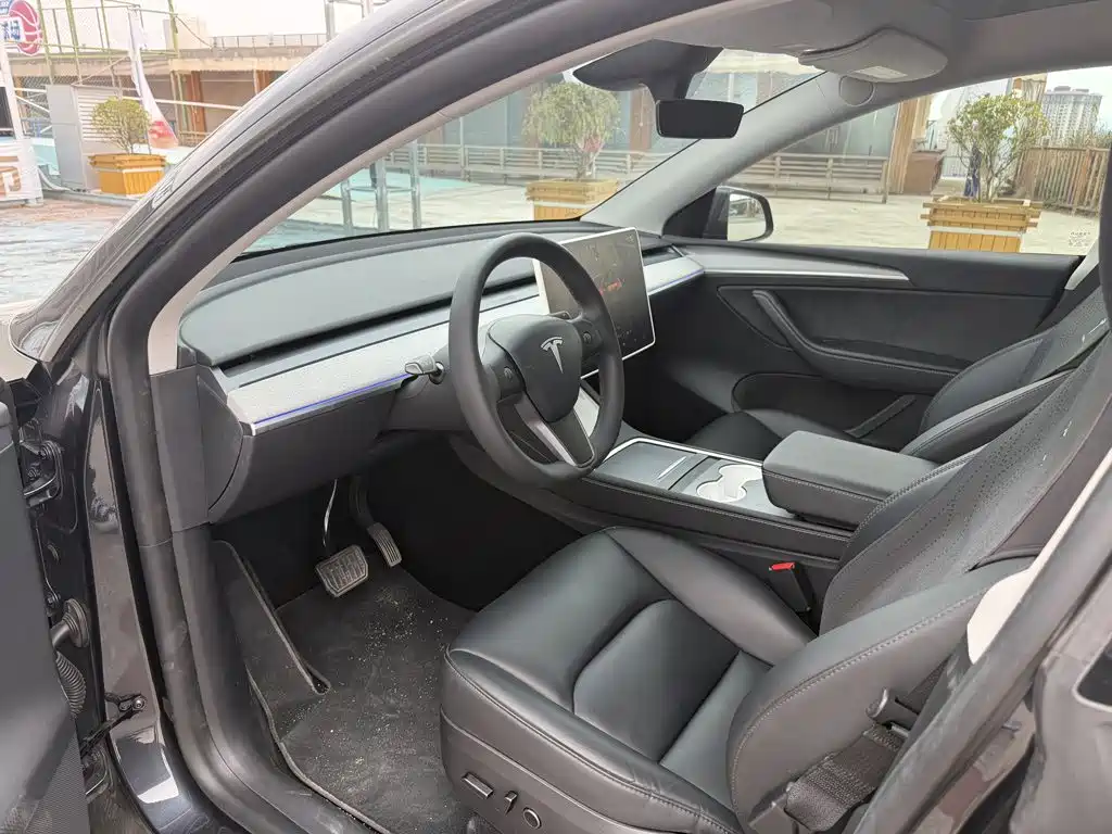 Tesla Model Y — миниатюра 9