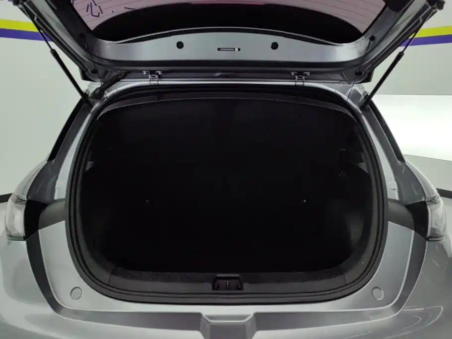 BYD Dolphin — миниатюра 4