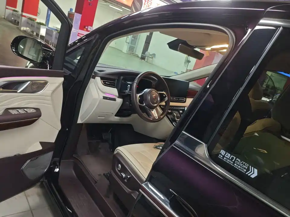 Hongqi Hongqi HQ9 — миниатюра 4